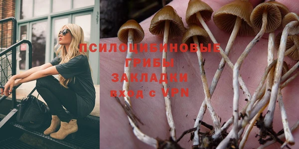 а пвп мука Алзамай