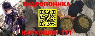сатива Чебоксары
