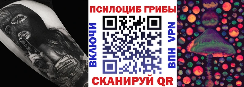купить закладку  Омск  Псилоцибиновые грибы GOLDEN TEACHER 